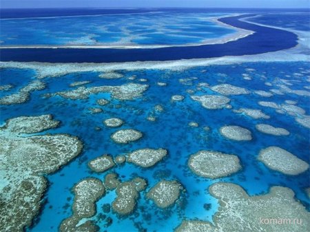 Coral Sea, Australia