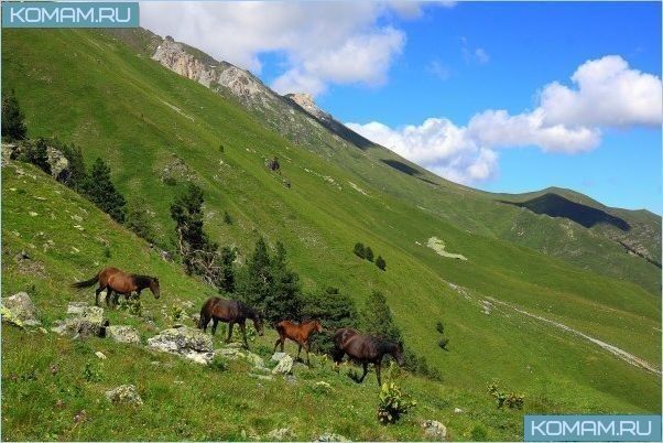 Достопримечательности в Архызе
