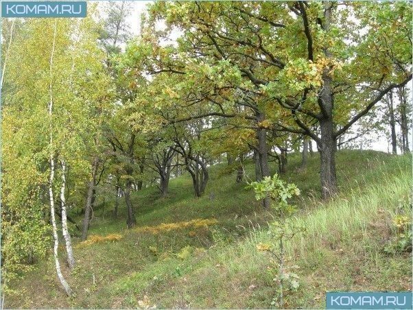 Красивые природные места недалеко от Москвы