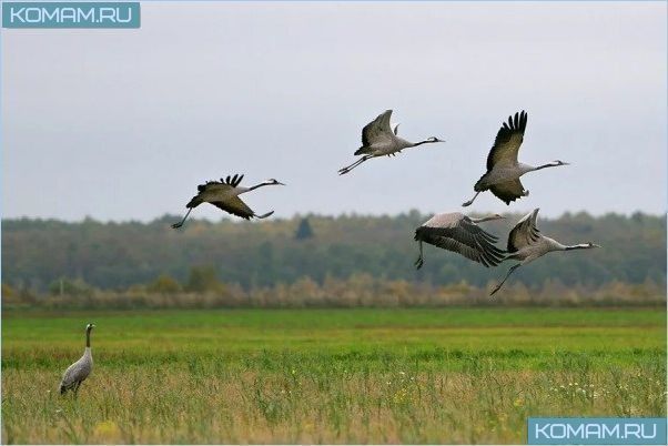 Красивые природные места недалеко от Москвы