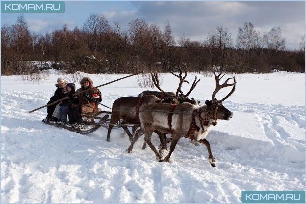Куда поехать из Москвы на выходные на машине?