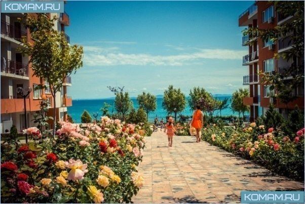 Куда поехать с ребенком на море – варианты отдыха в России и за границей