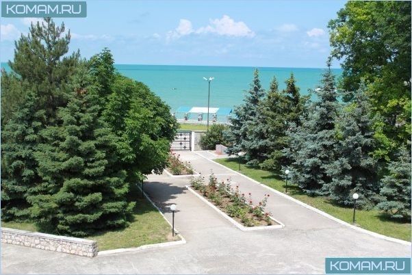 Комплекс Миндальная роща с отелями и аквапарком