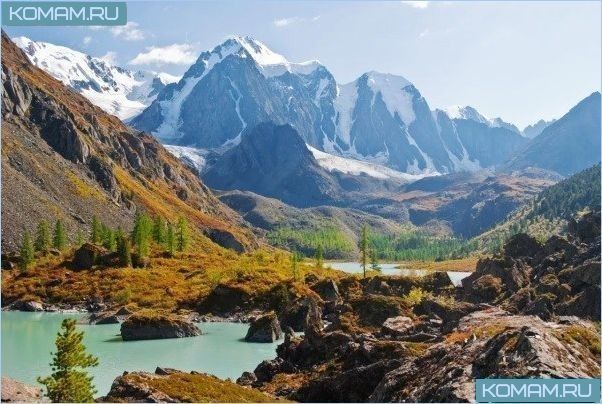 Самые