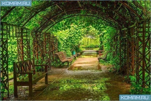 Самые красивые места в Москве для прогулок и фотосессий 