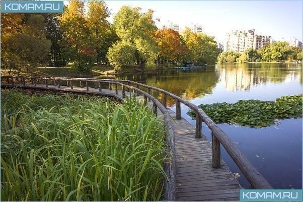 Самые красивые места в Москве для прогулок и фотосессий 