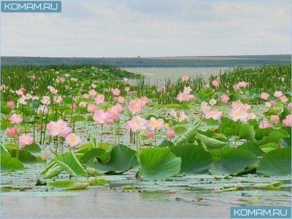 Самые красивые места в России – описание с фото 