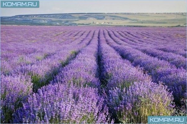 Самые живописные места мира, поражающие своей красотой отдыхающих