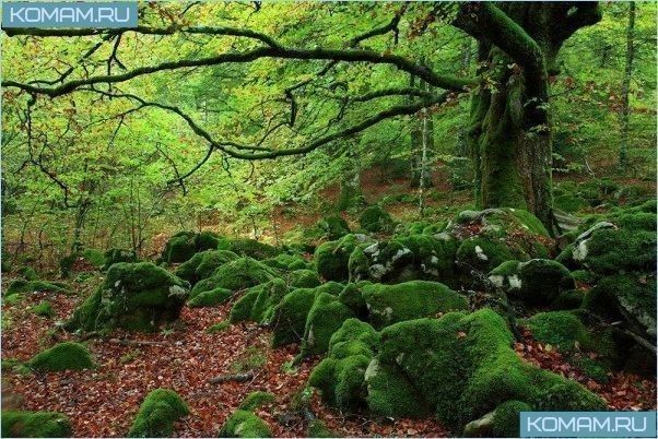 Самые живописные места мира, поражающие своей красотой отдыхающих