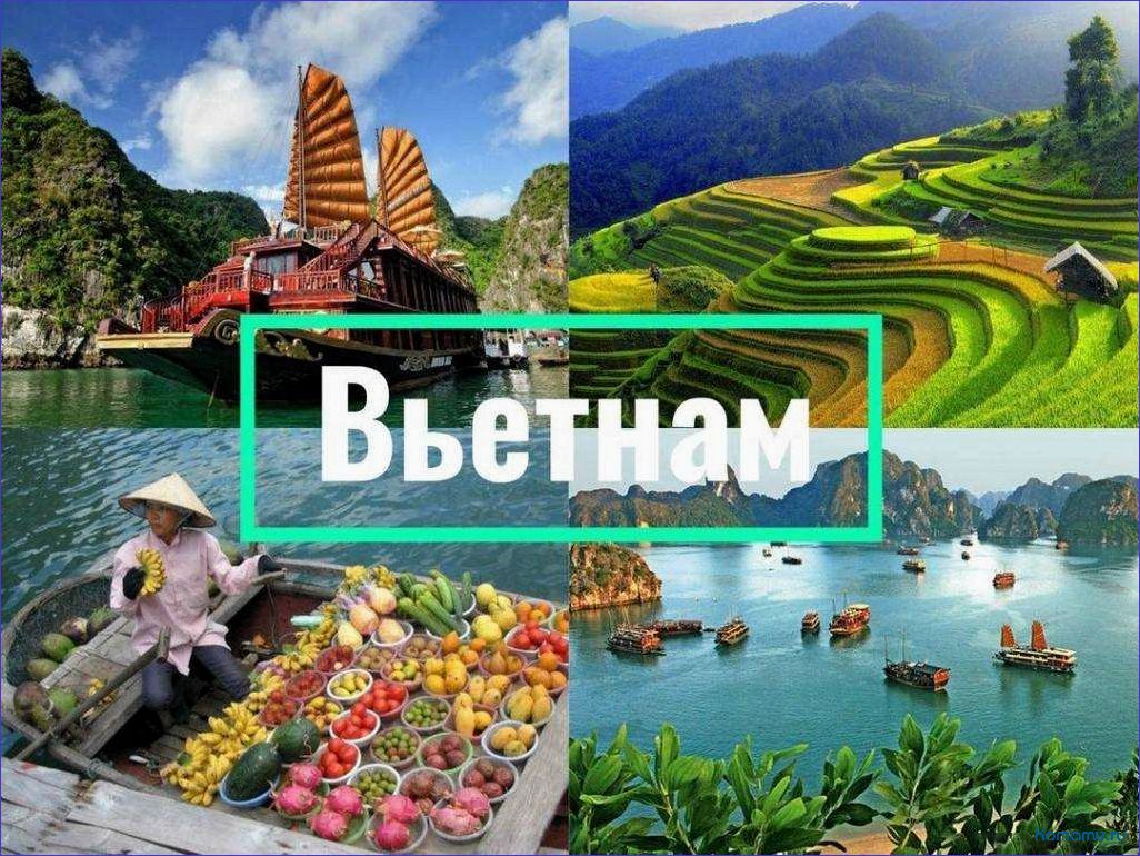 Первая поездка в чудесный мир Вьетнама: путеводитель путешественника